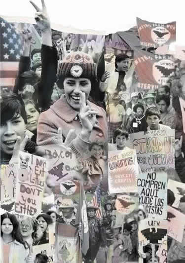 Collage of farm workers picketing