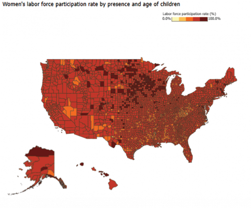 County & State Labor Force Participation Rates by Selected Characteristics