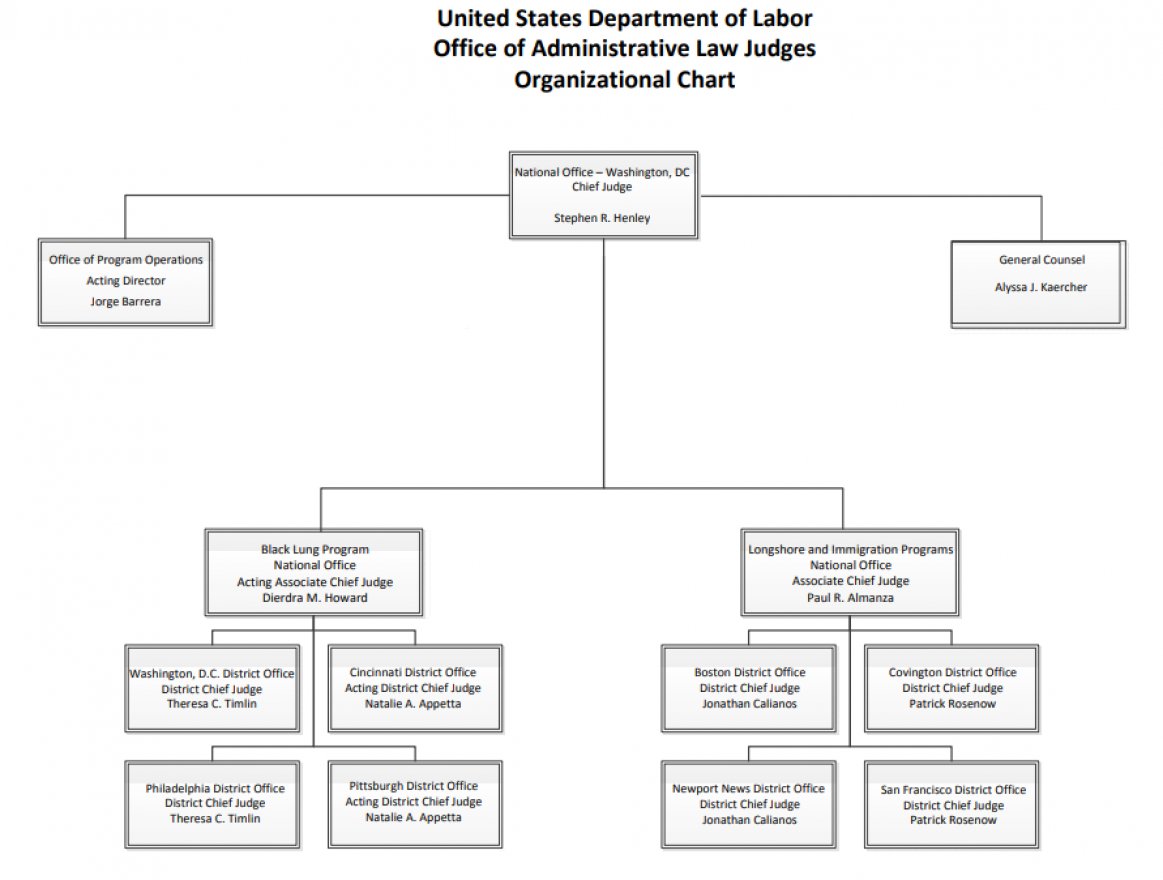 Organizational Chart 