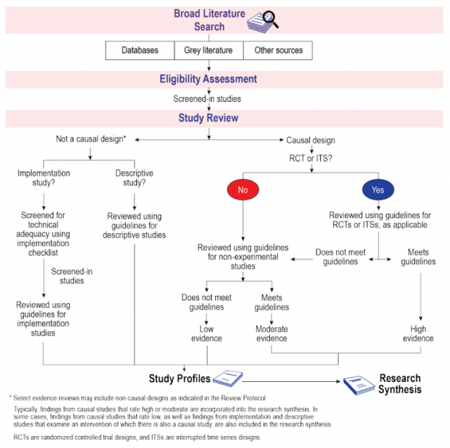 CLEAR review process flowchart