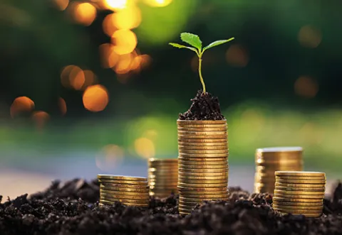 Coins and a plant seedling sitting in a pile of dirt