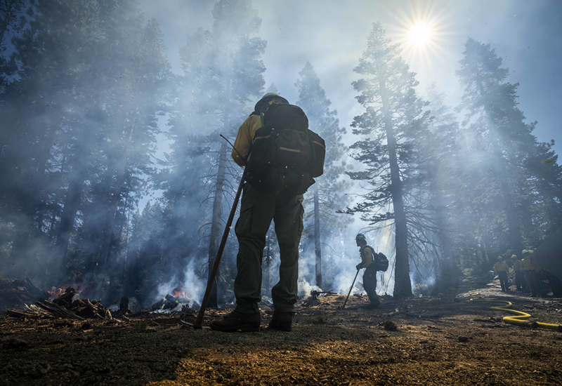 Two wildland firefighters stand guard over a prescribed burn area, seen from a low angle. The sunlight streams down dramatically through the smoke.